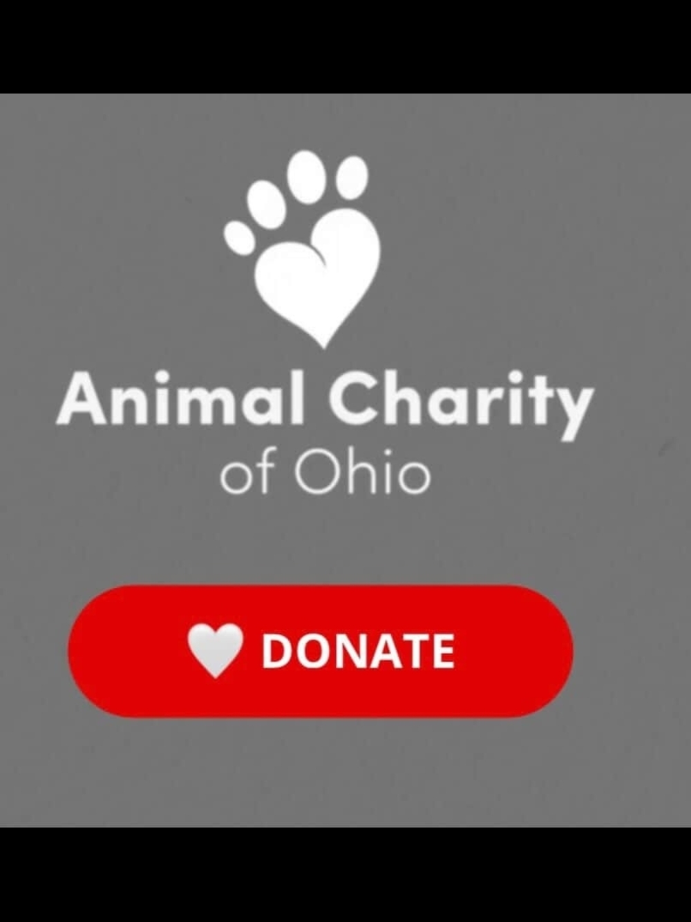 100% Goes To This Month's Animal Rescue!